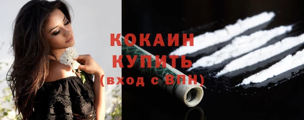 прущие грибы Краснотурьинск