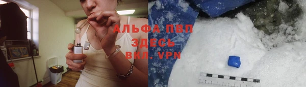 прущие грибы Краснотурьинск
