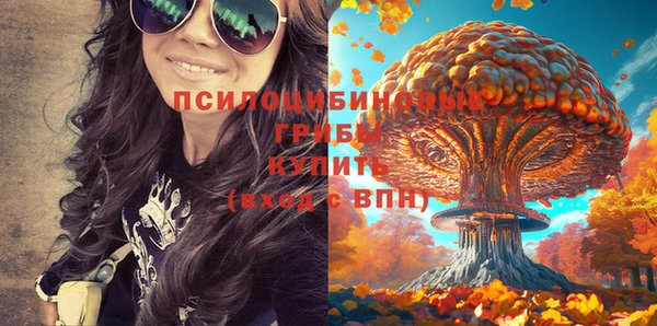 индика Красноперекопск