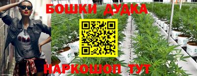 индика Ликино-Дулёво