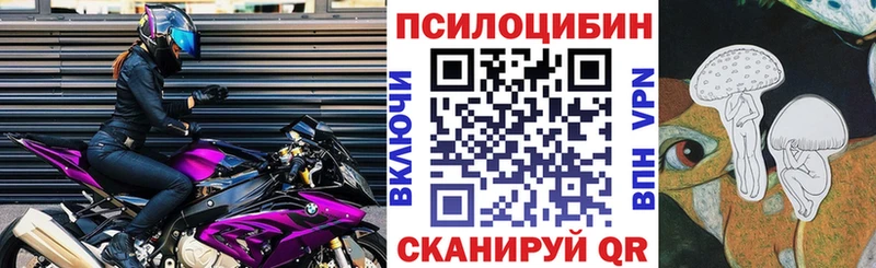 Псилоцибиновые грибы прущие грибы  магазин  наркотиков  Урус-Мартан 