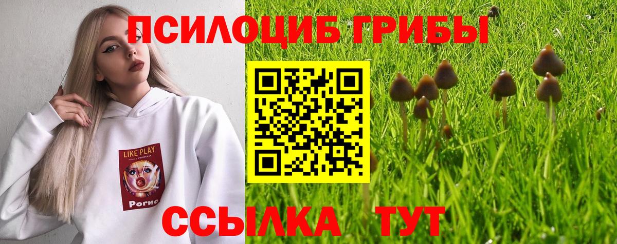 Галлюциногенные грибы GOLDEN TEACHER Урус-Мартан