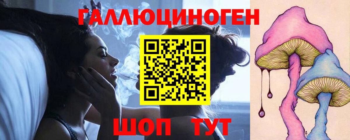 Псилоцибиновые грибы Psilocybine cubensis  Вход с VPN  Урус-Мартан  Псилоцибиновые грибы прущие грибы 