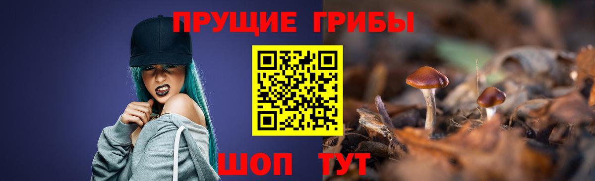 Галлюциногенные грибы Cubensis  Урус-Мартан 